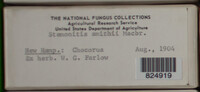 Image Associated With the Occurence